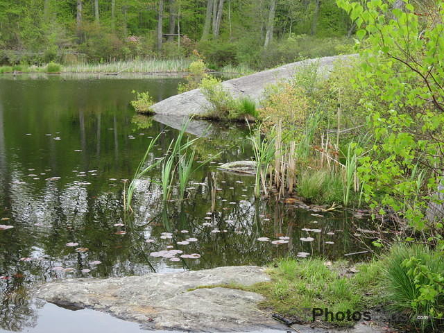 Beaver Pond Sessions IMG 0904