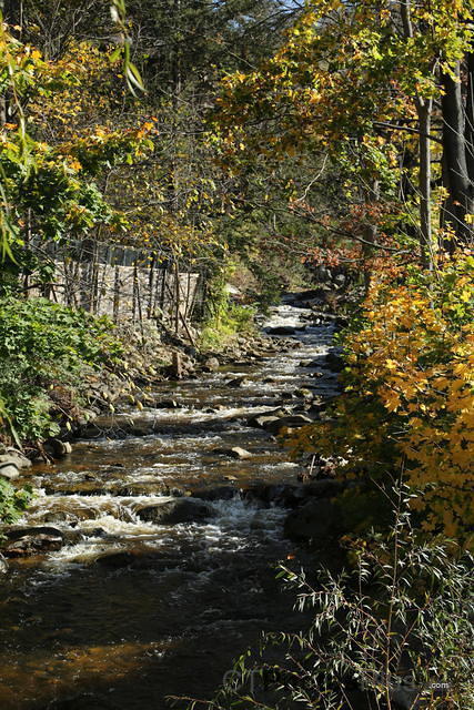 Brook in Cornwall CT IMG 9999 76