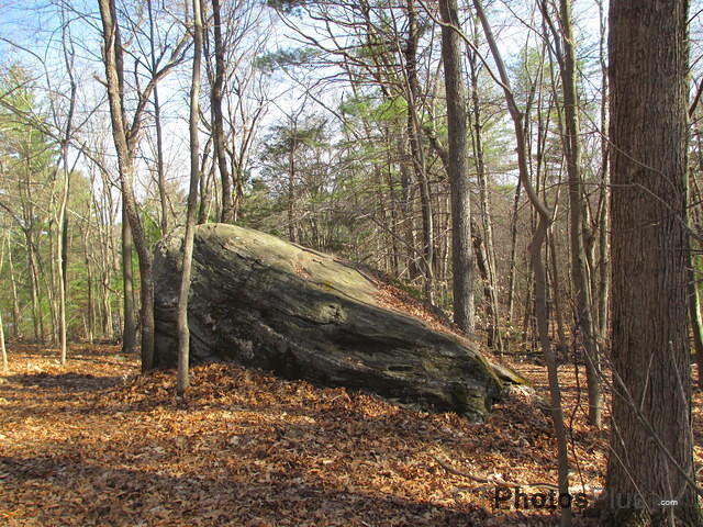 Huge boulder in the woods IMG 0662