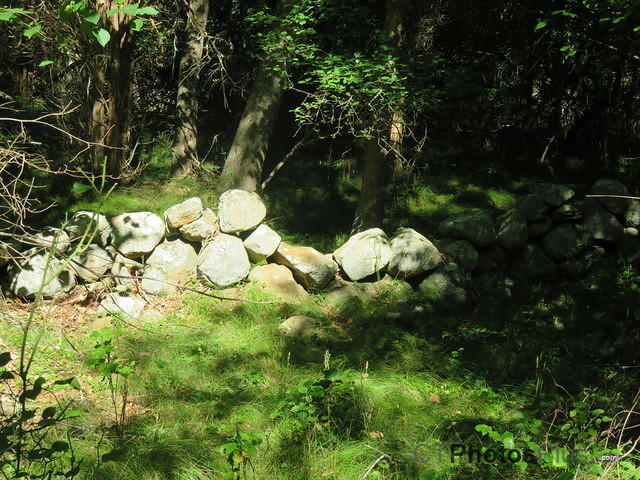 Old New England Stone walls IMG 2432