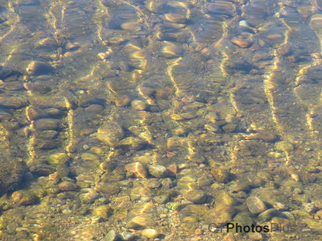 Ripples in the pond IMG 1279