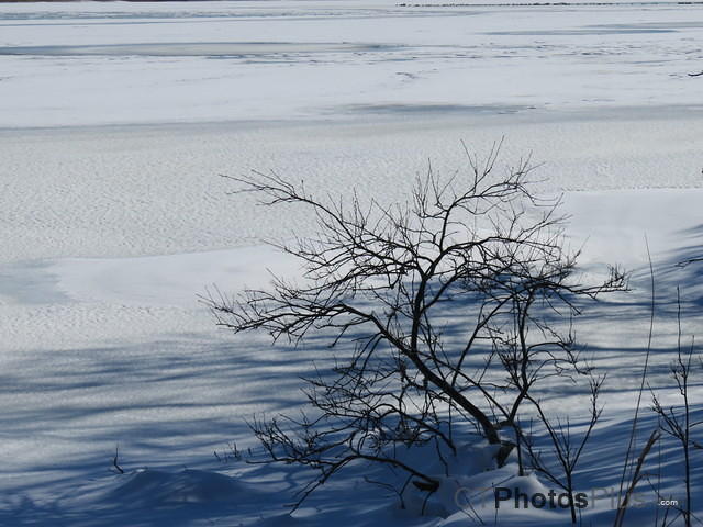 Trrustom pond in ice IMG 0498