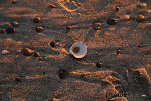 sand and shells IMG 9999 199