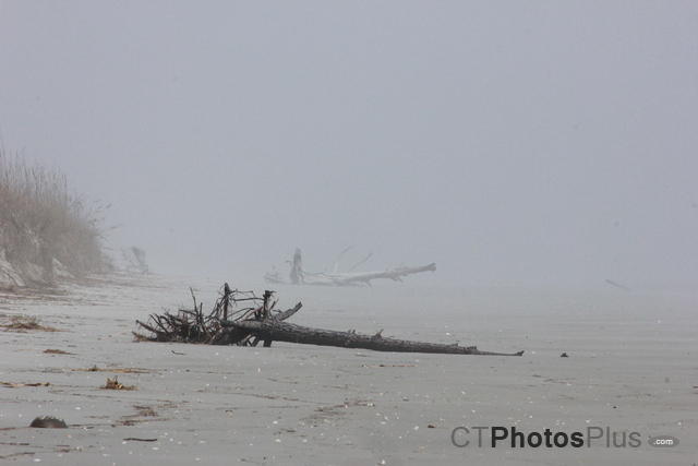 Nannygoat Beach in the fog IMG 3149