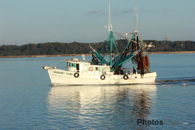 Shrimp Boat IMG 3309