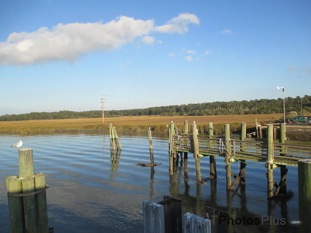 The Marsh Landing Dock on Sapelo Island, GA IMG 1017