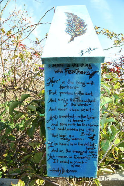 Bird house containing sighting notebook for birders on block Island U82A7373