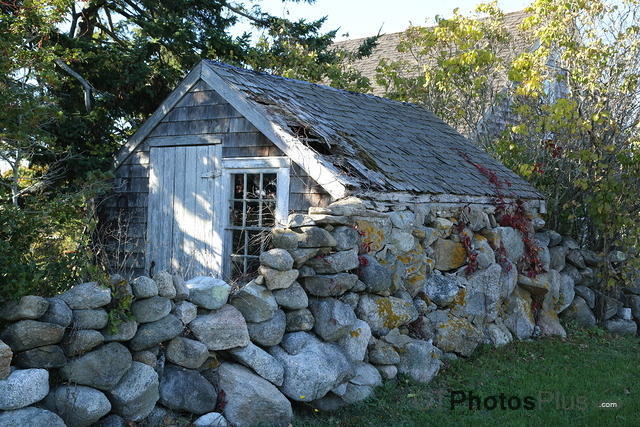 Structure built into old farm wall on Block Island U82A7284