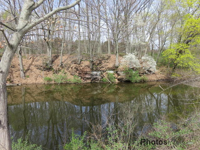 Spring reflections at Windsor Locks Canal State Park IMG 2054