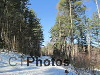 IMG 0634 Burlington snow walk