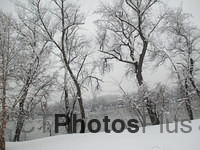 CT river in the snow IMG 1086