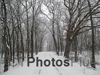The beauty of winter. East Windsor IMG 1087