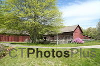 Norwich Farm IMG 3514