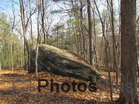 Huge boulder in the woods IMG 0662
