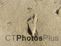 a tiny footprint in the sand on a cold October day IMG 2606