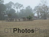 Sapelo Island Ruins in the fog IMG 0927