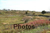 Beautiful Block Island Farmland U82A7463