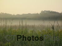 Morning mist layers IMG 1448