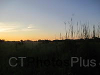 Sunrise at Trustom IMG 1441