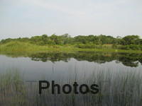 Trustom Pond IMG 1382