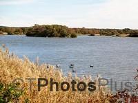 Trustom Pond from Osprey Point IMG 1754 (7)