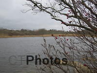 Trustom Pond in January IMG 0361