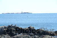 View of Sakonnet Lighthouse from Sachuest U82A6903