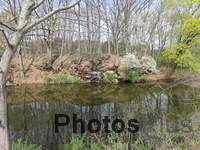 Spring reflections at Windsor Locks Canal State Park IMG 2054