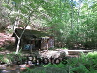 Cabin in the Vernon woods 021