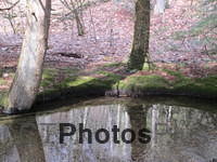 Spring Reflections. Valley Falls Vernon 081